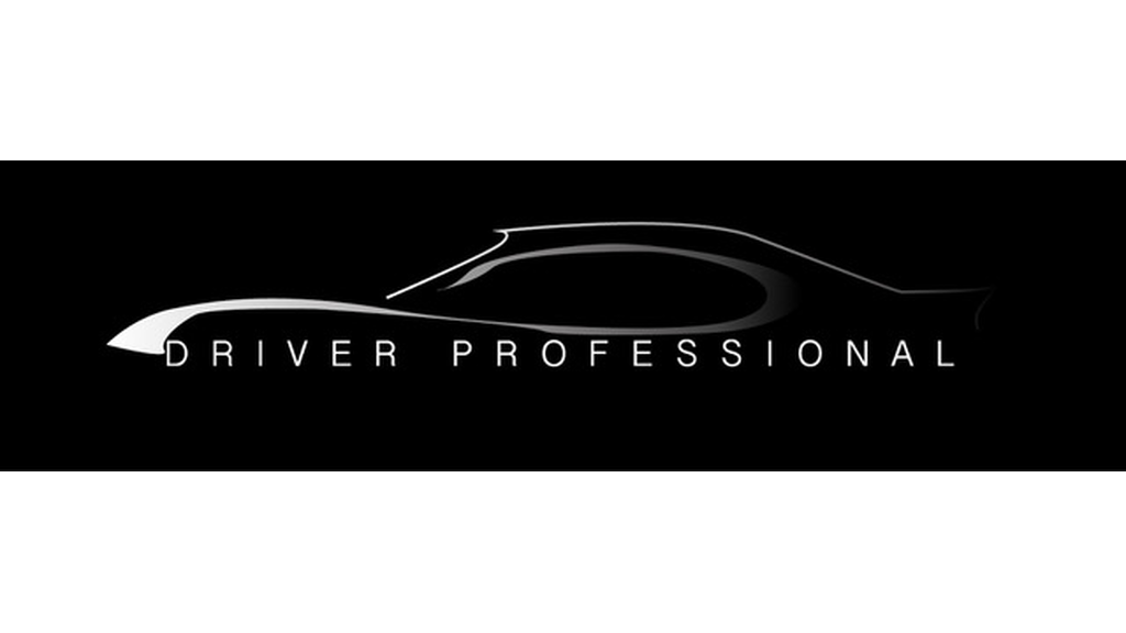 DRIVER PROFESSIONAL